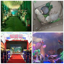 上海會吸引人氣的動物有哪些新聞資訊aa蒞臨詳談