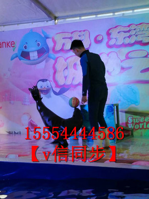 動物表演馬戲團表演金剛鸚鵡展覽