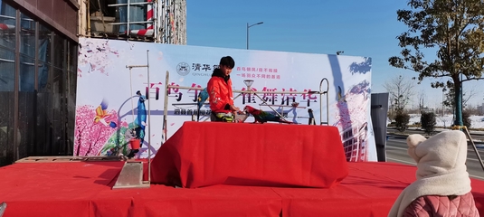 馬戲團(tuán)動(dòng)物演出租賃與費(fèi)用指南