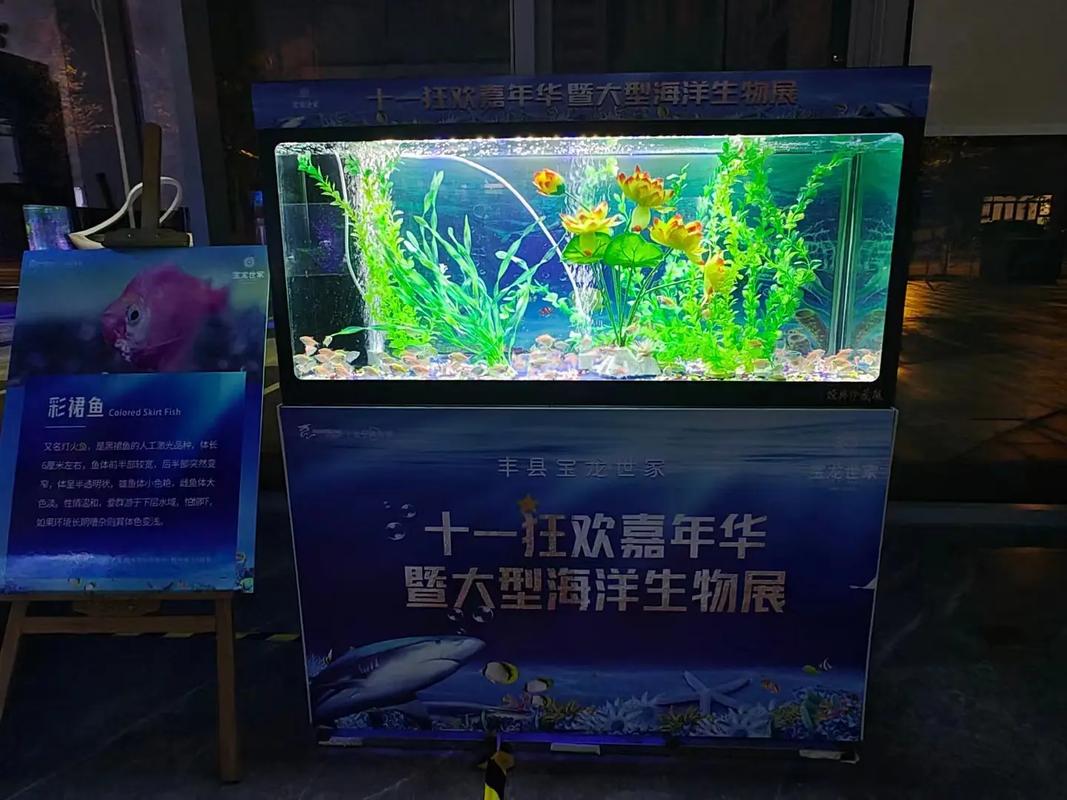 專業(yè)動物出租服務(wù) 馬戲團表演、海獅與羊駝租賃解決方案